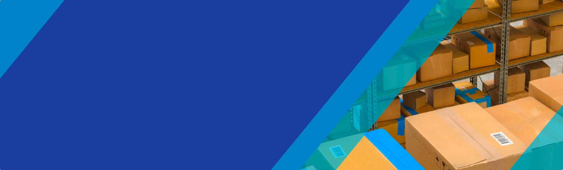 1 GÜN İÇİNDE KARGOYA TESLİM